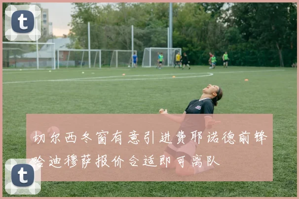 切尔西冬窗有意引进费耶诺德前锋哈迪穆萨报价合适即可离队