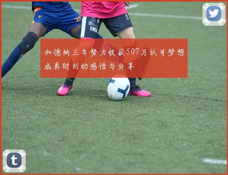 加德纳三年努力收获507万认可梦想成真时刻的感悟与分享